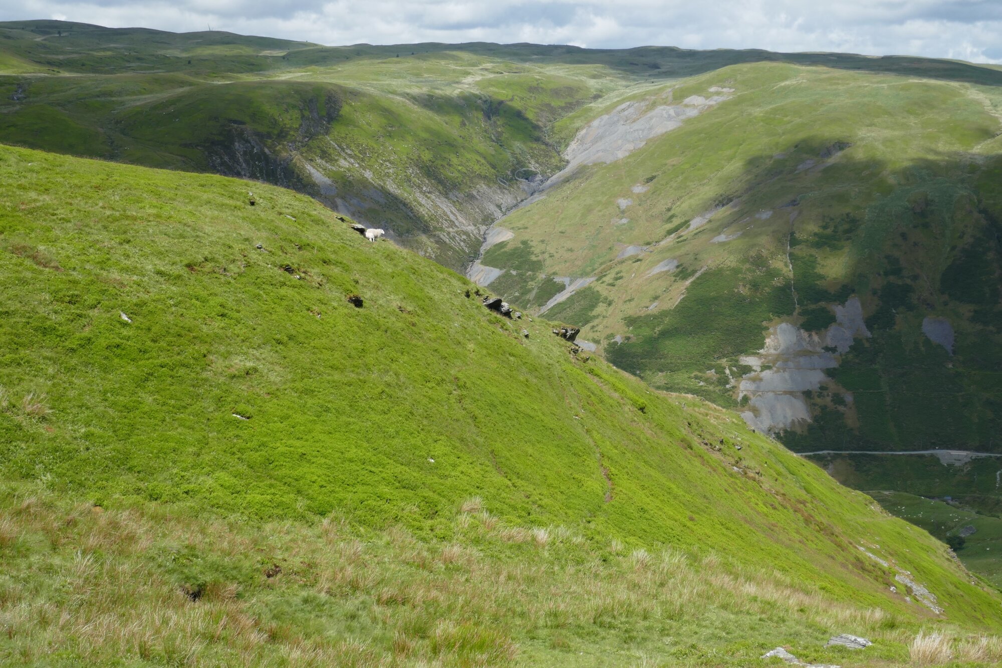 RachelSeabrook.net | Wild Walking | Cwmystwyth | pic36